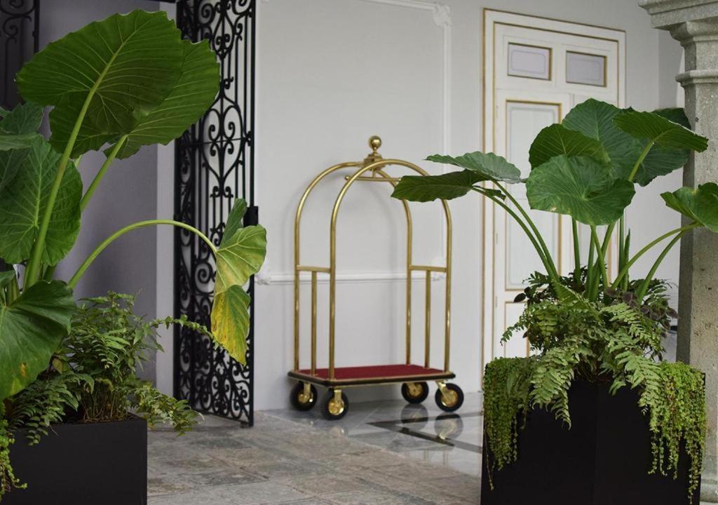 Casa Hidalgo Hotel Boutique Oaxaca ภายนอก รูปภาพ
